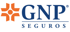 GNP SEGUROS